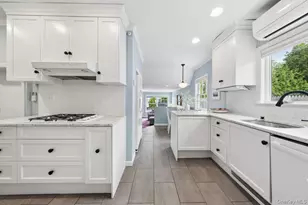 24 Homer Ave, Larchmont, NY 10538 - Photo 10