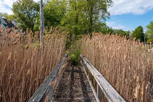 133 Old Field Rd, Setauket, NY 11733 - Photo 26