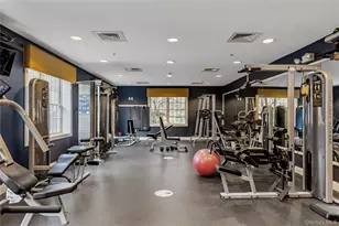 14 Belvedere Ct, North Hills, NY 11030 - Photo 48