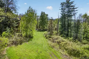 252 Upper Boiceville Rd, Boiceville, NY 12412 - Photo 46