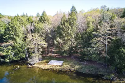 453 Little Ireland Road, Livingston Manor, NY 12758 - Photo 40