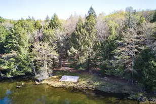 453 Little Ireland Rd, Livingston Manor, NY 12758 - Photo 40
