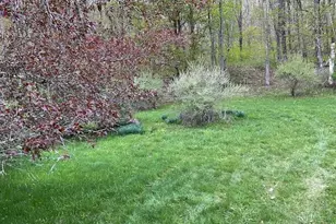 257 Cr 134, Fremont Center, NY 12736 - Photo 6