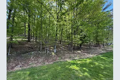 Westwood Avenue, Ellenville, NY 12428 - Photo 1