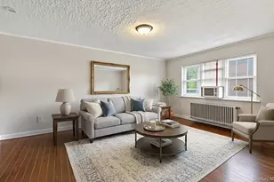 28 Linden St, Great Neck, NY 11021 - Photo 10