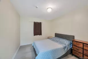 252 Woodbine St, Brooklyn, NY 11221 - Photo 30