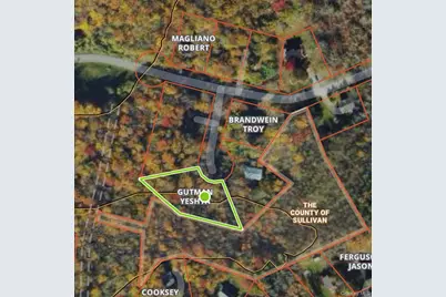 Cathalia Ct Tr 154E, Fallsburg, NY 12733 - Photo 2