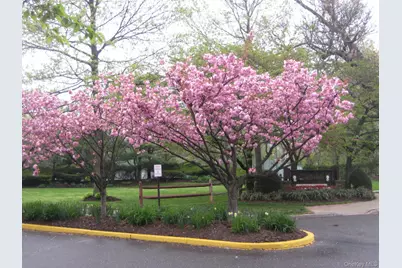40 Town House Drive, Massapequa Park, NY 11762 - Photo 4