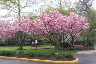 40 Town House Dr, Massapequa Park, NY 11762 - Photo 4