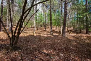 12 Homeyer Rd, Glen Spey, NY 12737 - Photo 26