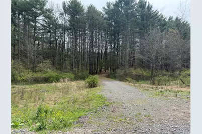 11 Forest View Drive, Catskill, NY 12414 - Photo 8