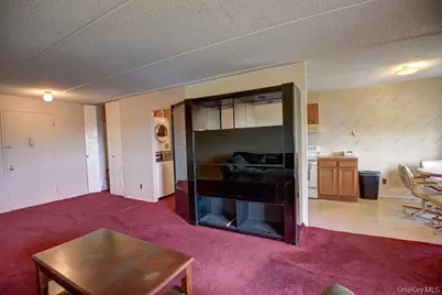 175 Maple Avenue #4I, Westbury, NY 11590 - Photo 16
