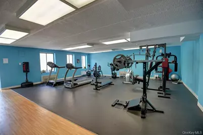 175 Maple Avenue #4I, Westbury, NY 11590 - Photo 24
