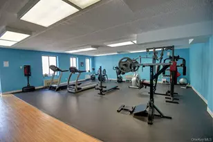 175 Maple Ave, Westbury, NY 11590 - Photo 24