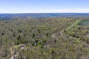 88 W Peenpack Trail, Sparrow Bush, NY 12780 - Photo 48