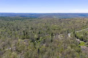 88 W Peenpack Trail, Sparrow Bush, NY 12780 - Photo 50