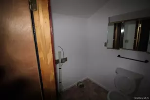 325 N Main St, Liberty, NY 12754 - Photo 8