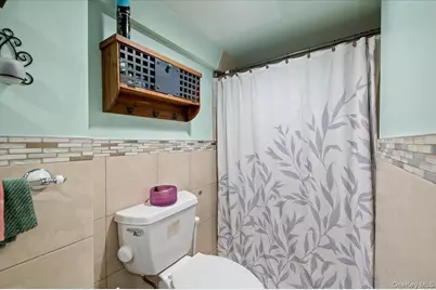 20 School House Lane, Syosset, NY 11791 - Photo 28