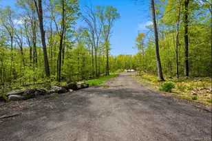 51 Redder Rd, Pine Bush, NY 12566 - Photo 10