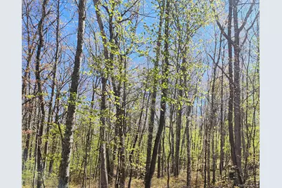 Lot 34 Lenni Lenape Road, Cochecton Center, NY 12726 - Photo 2
