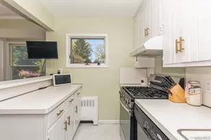 157 Chestnut St, Garden City, NY 11530 - Photo 8