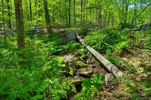22 Hazel Hill Rd, Mahopac, NY 10541 - Photo 34