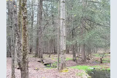 Muthig Road, Fallsburg, NY 12733 - Photo 6