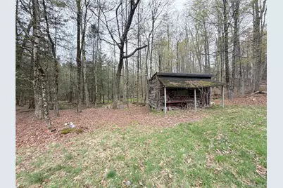 Muthig Road, Fallsburg, NY 12733 - Photo 12