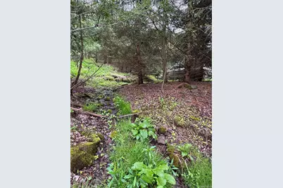 395 Federal Hill Rd 1, Delhi, NY 13753 - Photo 16