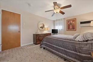 244 Mercury St, East Meadow, NY 11554 - Photo 28