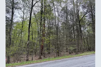 Braden Road, Mountain Dale, NY 12763 - Photo 1