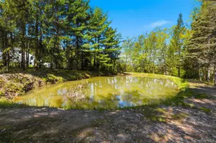32 Sunset Cir, Germantown, NY 12526 - Photo 40