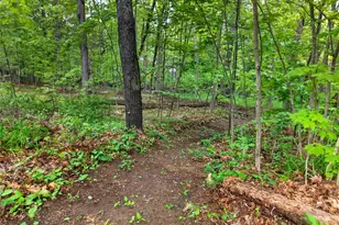 63 Hubshop Rd, Chester, NY 10918 - Photo 38