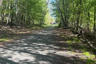176 Mountaindale Main St, Mountain Dale, NY 12763 - Photo 22