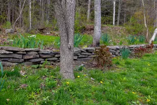 11 Hood Rd, Roscoe, NY 12776 - Photo 32