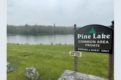 Lot # 20 Pine Lake Drive, Wurtsboro, NY 12790 - Photo 1