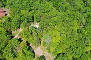 7175 State Route 42, Grahamsville, NY 12740 - Photo 4