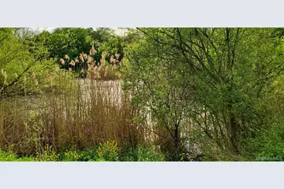 207 Cardinal Road, Hyde Park, NY 12538 - Photo 8