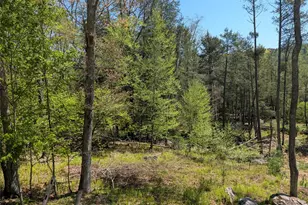 582 Lake Shore Ln, Narrowsburg, NY 12764 - Photo 22