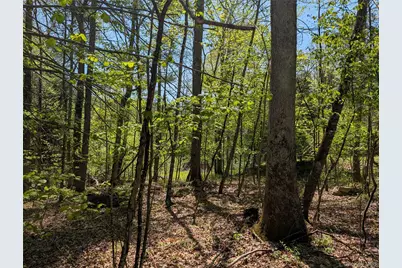 582 Lake Shore Lane, Narrowsburg, NY 12764 - Photo 26