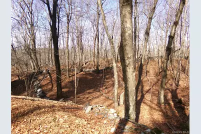 303 Hicks Hill Road, Stanford, NY 12582 - Photo 36