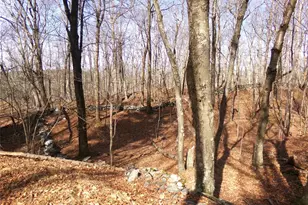 303 Hicks Hill Rd, Stanford, NY 12582 - Photo 36