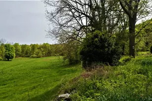 303 Hicks Hill Rd, Stanford, NY 12582 - Photo 16