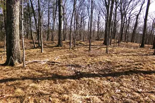 303 Hicks Hill Rd, Stanford, NY 12582 - Photo 40