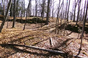 303 Hicks Hill Rd, Stanford, NY 12582 - Photo 38