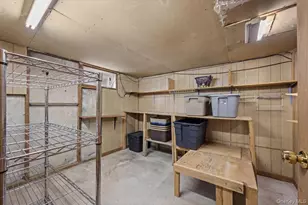 113 6th St, New Hyde Park, NY 11040 - Photo 16
