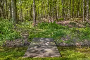 110 Cottontail Ln, Woodstock, NY 12498 - Photo 4