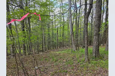 Wade Road, Fallsburg, NY 12733 - Photo 4