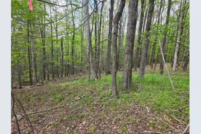 Wade Road, Fallsburg, NY 12733 - Photo 1