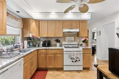 163 Beech Street, Floral Park, NY 11001 - Photo 8